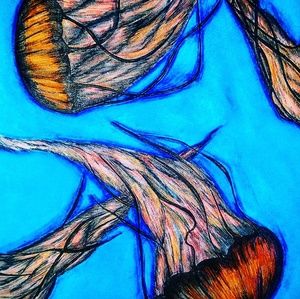 Meet your Posher, Alexandria